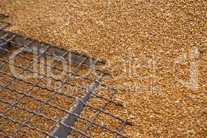 Wheat grains on the silo grid