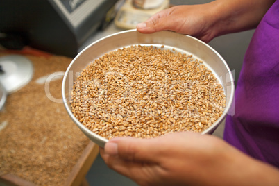 Measuring of moisture in wheat grains