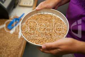 Measuring of moisture in wheat grains