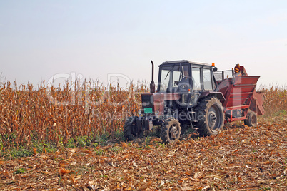 Corn harvesting