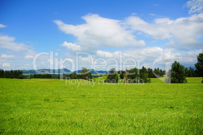 grüne Landschaft bei Pfronten