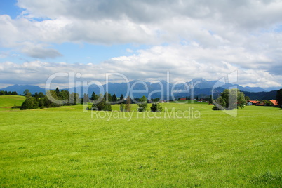 grüne Landschaft bei Pfronten