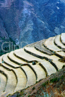 Fields in Pisac,  Peru