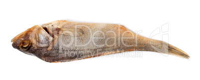 Sun-dried roach isolated on white background
