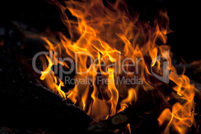 Campfire in forest at evening