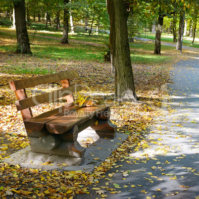 Wooden bench in the autumn park