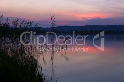 Sunset at a lake