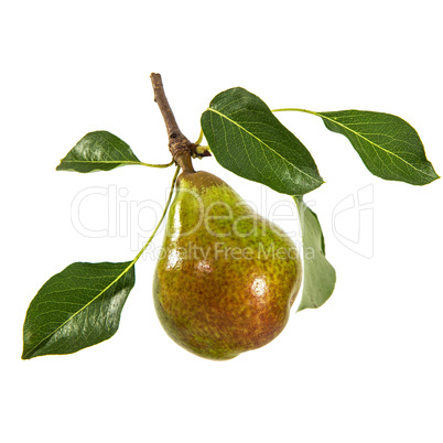 Pear isolated on white background