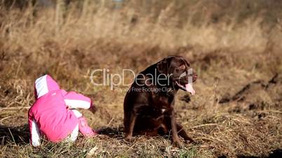 Little girl playing with a Brown Labrador retriever in winter
