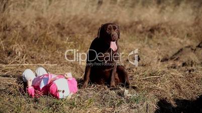 Little girl playing with a Brown Labrador retriever in winter