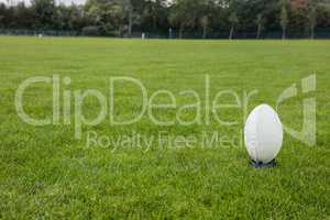 Rugby ball on the pitch