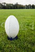 Rugby ball on the pitch