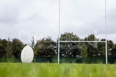Rugby ball on the pitch