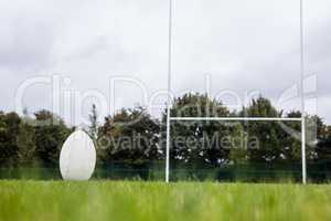 Rugby ball on the pitch