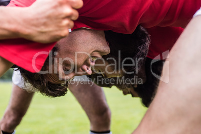 Rugby players doing a scrum