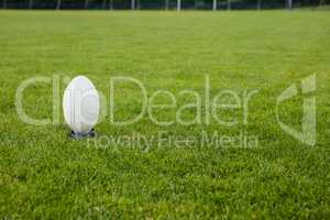 Rugby ball on the pitch