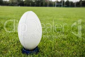 Rugby ball on the pitch