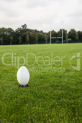 Rugby ball on the pitch