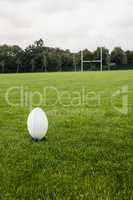 Rugby ball on the pitch