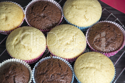 Muffins