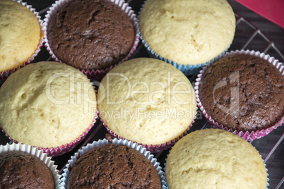 Muffins