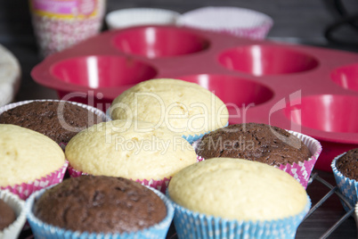 Muffins