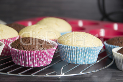 Muffins