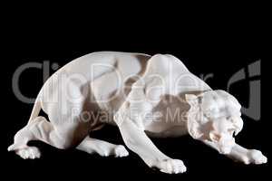 Classic white marble statuette of a panther isolated on black background