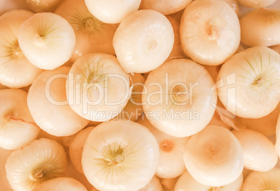 Retro looking Onions