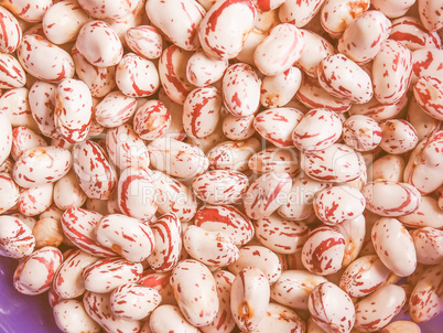 Retro looking Cranberry beans