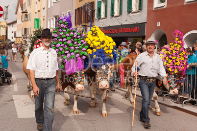 Kufstein/Austria/ Tirol-19.September:Dekoriert Kühe beim Almabtrieb in Kufstein / Austria