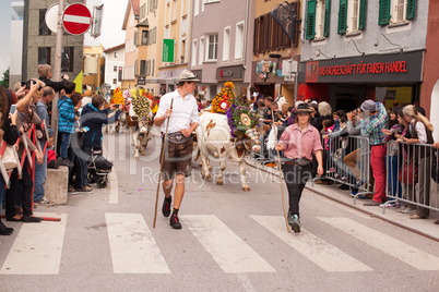 Kufstein/Austria/ Tirol-19.September:Dekorierte Kühe beim Almabtrieb in Kufstein / Austria