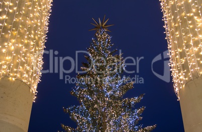 Weihnachtsbaum im Lichterglanz