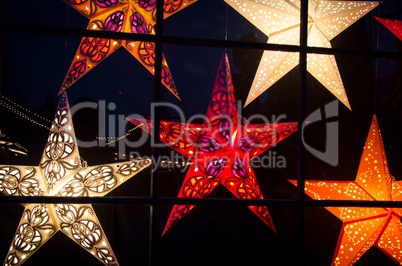 Weihnachtssterne am Fenster