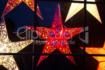 Weihnachtssterne am Fenster