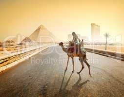 Road to Giza