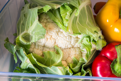 Geöffneter Kühlschrank gefüllt mit Obst und Gemüse