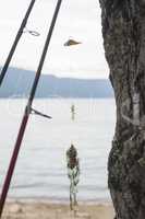 Fishing rods and mountain lake