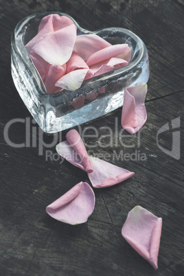 Rose leaves on wood