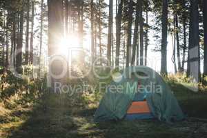 Tent in the forest on sunlight