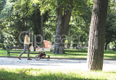 Mother walking in the park with baby buggy