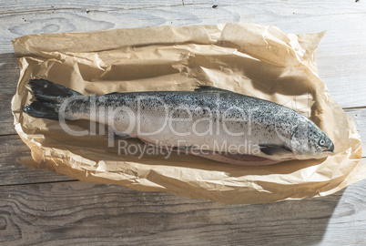 Raw fish wrapped in paper