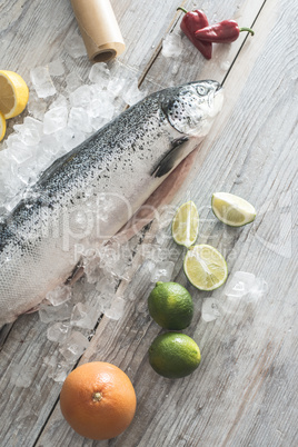 Raw salmon fish in ice and vegetables