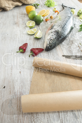 Raw salmon fish in ice and vegetables