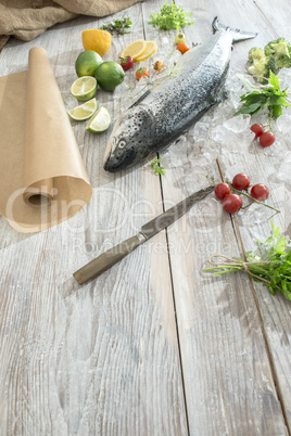 Raw salmon fish in ice and vegetables