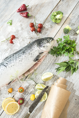 Raw salmon fish in ice and vegetables