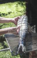 Raw salmon fish on grill
