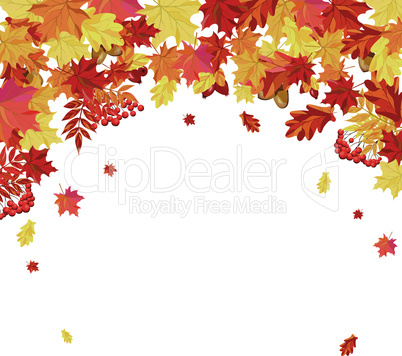 Autumn Leaves  Frame