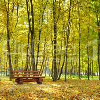 autumn park and bench