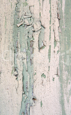 Weathered old painted wood